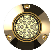 Metro Marine HighOutput Submersible Underwater Light wIntelligent Monochromatic LEDs  White 45 Beam FBMR1W345